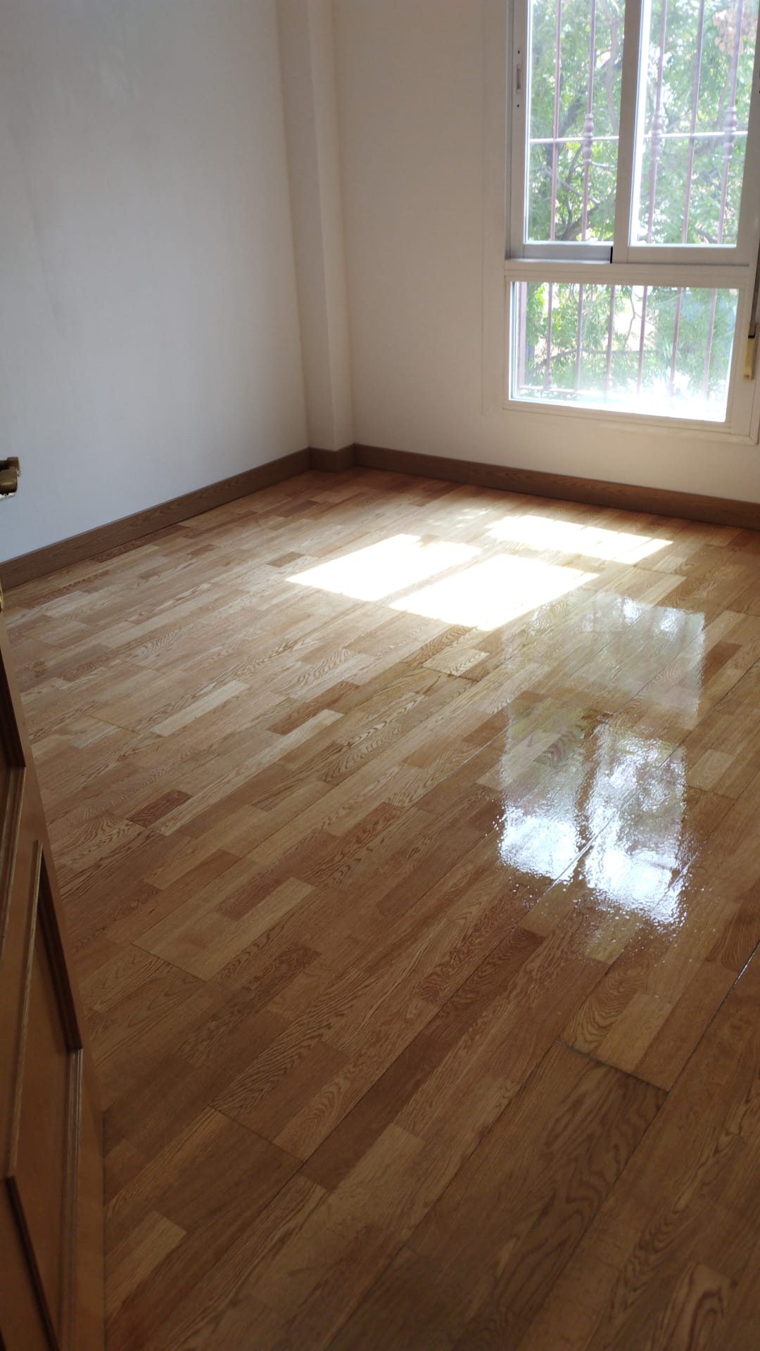 Interior - Proyecto 18